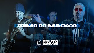 Primo do Macaco  DVD A Volta dos que não foram  Fruto Sagrado Oficial [upl. by Aihcsrop985]