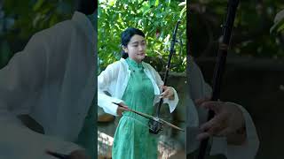 雨蝶 还珠格格 二胡 二胡演奏 erhu erhumusic chinesesong 民族乐器 chinesemusic [upl. by Aikel]