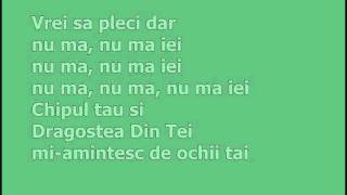 Dragostea Din Tei With Lyrics [upl. by Anilah]