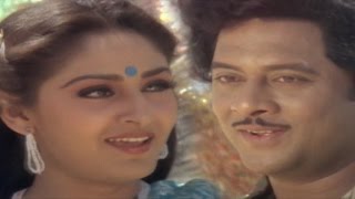 Parimalinchu Video Song  Puli Bebbuli Movie  Krishnam RajuChiranjeeviJayapradhaRadhika [upl. by Pang]