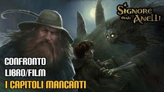 Il Signore degli Anelli confronto librofilm i capitoli mancanti [upl. by Maguire842]