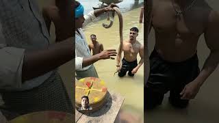 army spectacledcobra ganga fishing cobra 🙏🙏🙏🙏🙏🙏🙏💯 [upl. by Codi702]