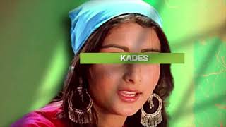 AAJA RE  NOORIE  KADES REMIX [upl. by Allesig]