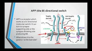 How to reverse Alzheimers disease Dr Dale Bredesen protocol The first section [upl. by Grady773]