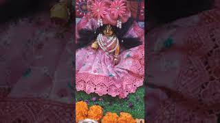 Do din ke badle 🙏❤️🌍🥰 song love laddu merepyarenatkhatladdugopal [upl. by Carothers]