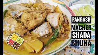 Pangas Macher Shada Bhuna  Special Fish Curry  পাঙ্গাশ মাছের সাদা ভুনা  Pangas Recipe  मछली कारी [upl. by Umeh]