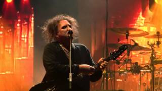 Charlotte Sometimes  The Cure  Bologna Unipol Arena 29102016 [upl. by Aihseken]