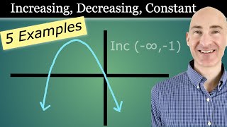 Intervals where the Function is Increasing Decreasing or Constant [upl. by Eceertal]