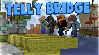 The Ultimate Telly Bridging Team [upl. by Birch]