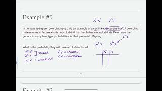 Genetics Example 5  SexLinked Xlinked Recessive [upl. by Atikat]