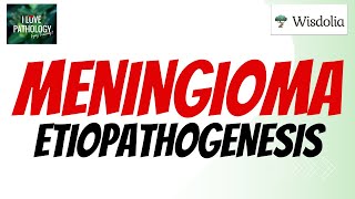 MENINGIOMA  Risk factors Pathogenesis  Morphology Variants [upl. by Einnij]