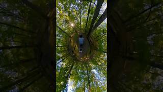 Nature Trail Ride shorts islandlife nature sun grosseile insta360x4 trekbikes biking [upl. by Eurydice109]