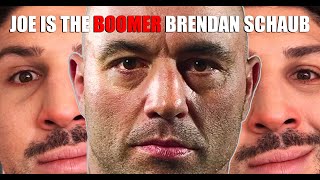 Joe Rogan is the Boomer Brendan Schaub [upl. by Braswell677]