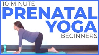 10 minute PRENATAL YOGA for Beginners Safe for ALL Trimesters [upl. by Emelita]