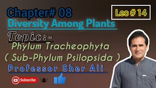 Phylum Tracheophyta Psilopsida chapter 8th by Professor Sher Ali [upl. by Marguerite380]