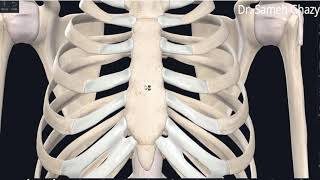 Thoracic cage مراجعه سريعه [upl. by Reisman]