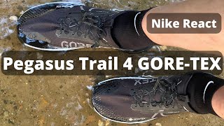 Nike React Pegasus Trail 4 GORETEX [upl. by Peta]