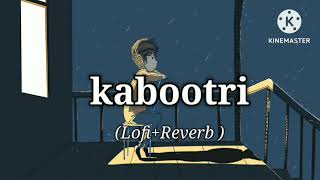 lofi kabootri song anjali raghav kithe chali haryanvi song lofiReverb song youtube [upl. by Salomie]