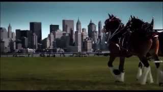 Budweiser Clydesdales 9 11 ten years later Tribute [upl. by Streeter]