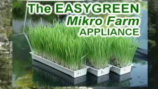 EasyGreen Automatic Sprouter Mikro Farm [upl. by Eindys367]