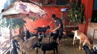 Life Goat Mutton Skills In Bangladesh Mutton Shop  Mutton Cutting Skills [upl. by Scevor]