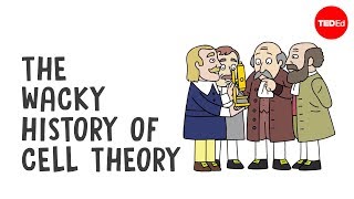 The wacky history of cell theory  Lauren RoyalWoods [upl. by Cyrano56]