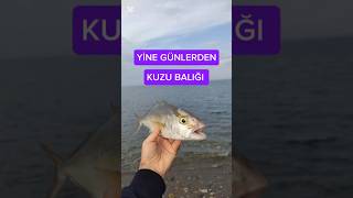 DECATHLON ŞİŞME KANO İLE BALIK AVI fishing balık spin kano decathlon hatay deniz balıkavı [upl. by Heiskell881]