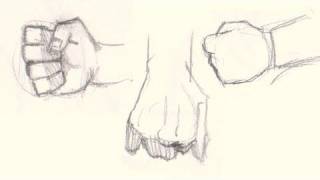 How to draw hands and fists [upl. by Fesoy]