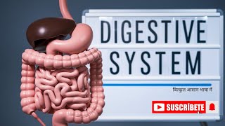 Digestive System पाचन तंत्र [upl. by Efioa]