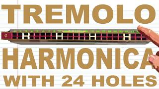 How to Play a Tremolo Harmonica with 24 Holes [upl. by Behrens603]