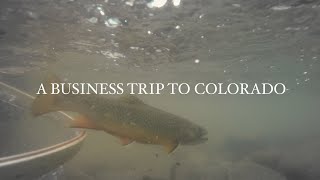 A Business Trip to Colorado Dry Fly Fishing Camping amp Film Photography [upl. by Eibrab]