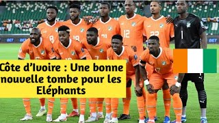 Côte d’Ivoire  Une bonne nouvelle tombe pour les Eléphants [upl. by Gwenny]