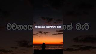 සිතුවිල්ල  sithuwili ep 33  sinhala wadan  hithata wadina wadan feelings quotes wadan love [upl. by Llewol]