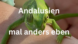 Andalusien mal anders eben [upl. by Aronson987]