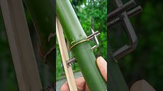 Bamboo creations with Simple Bamboo Idea Bamboo Diy Slingshots Bambooart [upl. by Sergius]