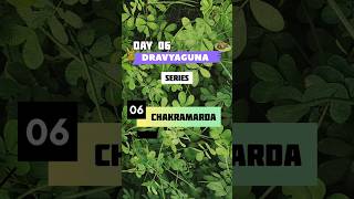 CHAKRAMARDA Dravyaguna series natural ayurvedafacts nature herbshealthylifestyle factsplant [upl. by Attenor]