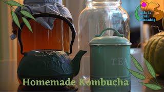 The Complete Guide to Brewing Kombucha  Making Kombucha at Home [upl. by Eiltan572]