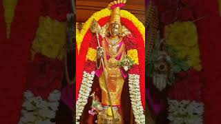 Alagendra Sollukku Muruga murugaa palani malaysia vadapalani kundrathur thiruthani saravanan [upl. by Junko]