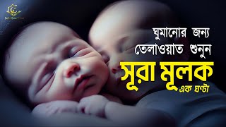 Surah AlMulk for 1 hour  ঘুমানোর জন্য  এক ঘণ্টা সূরা মূলক  Recited by Alaa Aqel [upl. by Swetlana]