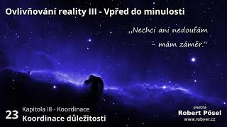 23  Koordinace důležitosti  Ovlivňování reality III [upl. by Baseler]