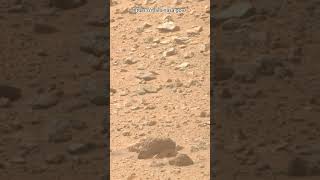 Perseverance Rover Sol 1330  Mars New 4k Video  Mars 4k Video  Mars In 4k  Mars shorts [upl. by Nylyram]