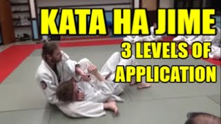 KATA HA JIME 3 LEVELS OF APPLICATION [upl. by Foley196]