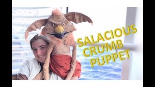 Homemade Star Wars Salacious Crumb Puppet [upl. by Gora406]