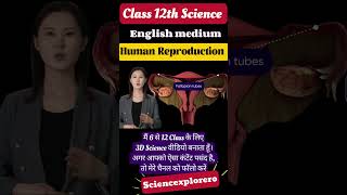 Human Reproduction  Class 12th  Biology ncert neet biology [upl. by Iznekcam]