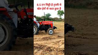 Massey wale massyfergusion agriculture agriculturefarming farming farmerfarmer [upl. by Ondine]