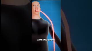 What Is A Tapewormforyou shortfeed shortvideo [upl. by Neelyk]