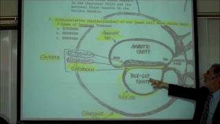 INTRO TO HUMAN EMBRYOLOGY PART 1 by Professor Fink [upl. by Padraig]