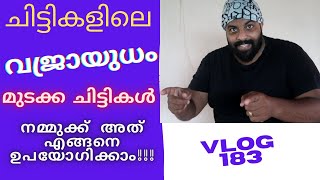 KSFEയിൽ മുടക്ക ചിട്ടികൾ നമ്മുക്ക് എങ്ങനെ തിരഞ്ഞെടുക്കാം🔥🔥🔥II MALAYALAM VLOG 183 [upl. by Dayna]