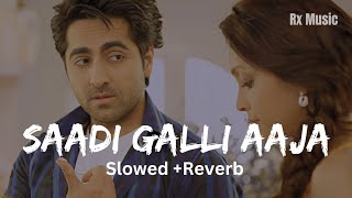 Saadi Galli Aaja  SlowedReverb  Ayushmaan Khurana [upl. by Maegan184]