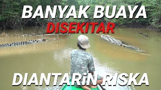 MELINDUNGIN AMBO BUAYA RISKA ANTAR KETEMPAT AMANBANYAK BUAYA DISEKITAR [upl. by Fauver464]